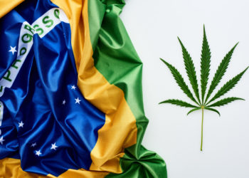 Court Ruling Could Lead to Cannabis Planting in Brazil