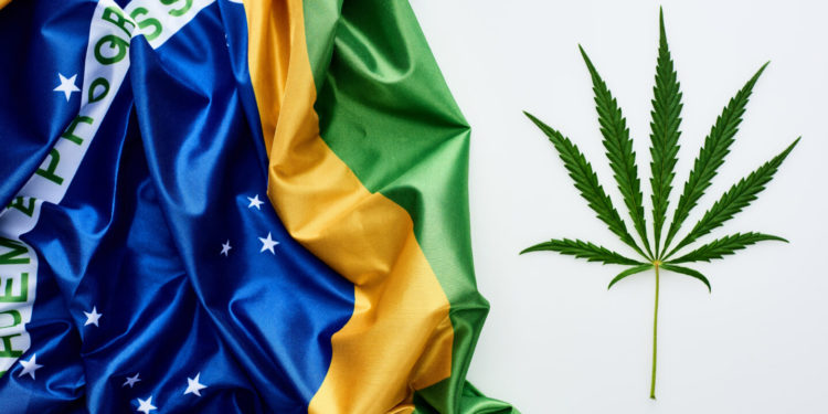 Court Ruling Could Lead to Cannabis Planting in Brazil