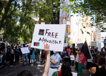 Taliban Bans Weed Cultivation