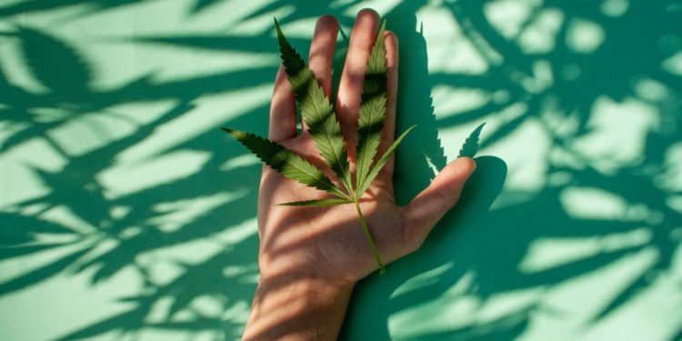 Kentucky Gov. Signs Bill To Regulate Delta-8 THC