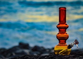 Hawaii Cannabis Bill Fails, Ending Legalization Hopes for 2023