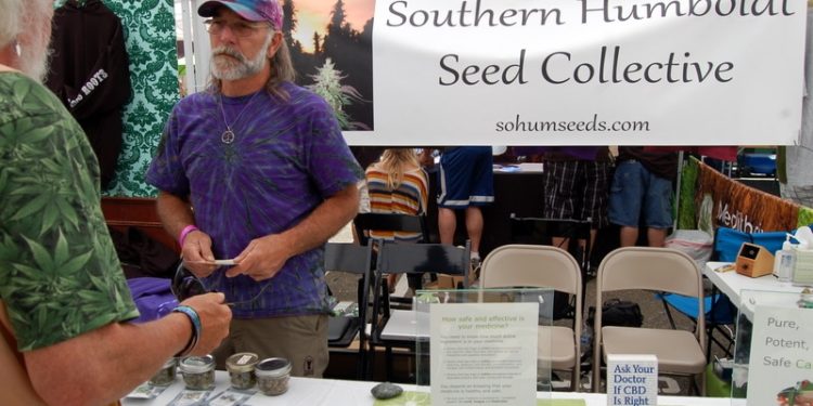 Higher Profile: Remembering Lawrence Ringo, Father of CBD (1956-2014)