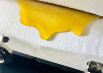 Simplicity, Competition, Passion: The Art of Hashmaking