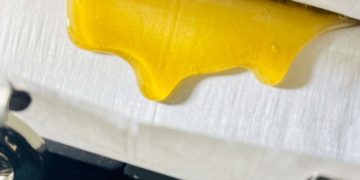 Simplicity, Competition, Passion: The Art of Hashmaking