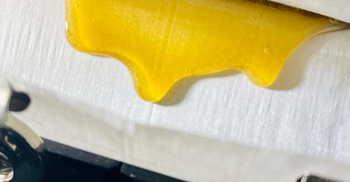 Simplicity, Competition, Passion: The Art of Hashmaking