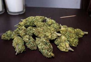 A Pseudo-Scientific Analysis of Why Rec Weed Sucks