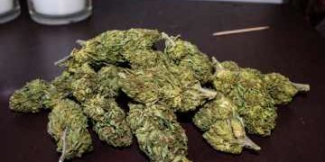 A Pseudo-Scientific Analysis of Why Rec Weed Sucks