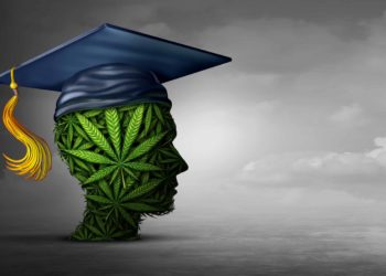 California Cannabis Department Grants Nearly $20 Million to Academic Institutions