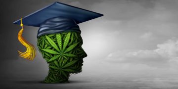 California Cannabis Department Grants Nearly $20 Million to Academic Institutions