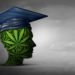 California Cannabis Department Grants Nearly $20 Million to Academic Institutions