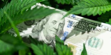 Colorado Launches Loan Program for Cannabis Social Equity Businesses