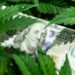 Colorado Launches Loan Program for Cannabis Social Equity Businesses