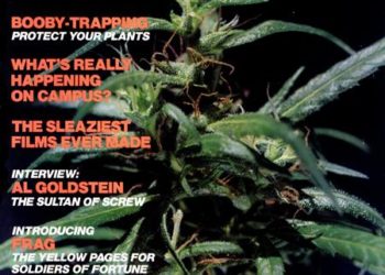 From the Archives: On Cocaine (1982)