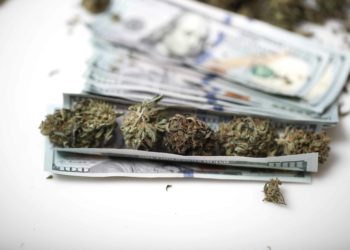 Cannabis Industry Paid $1.8 Billion in Excess Taxes in 2022