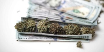 Cannabis Industry Paid $1.8 Billion in Excess Taxes in 2022