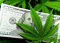 Montana Lawmakers Approve Cannabis Tax Bill