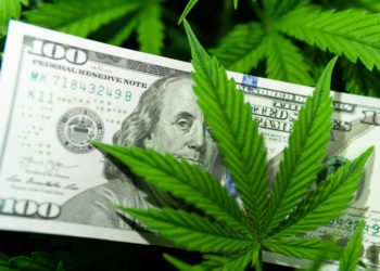 Montana Lawmakers Approve Cannabis Tax Bill