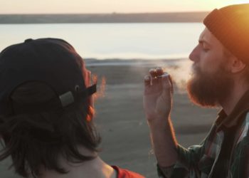 Forty-Two Percent of American Adults Use Cannabis