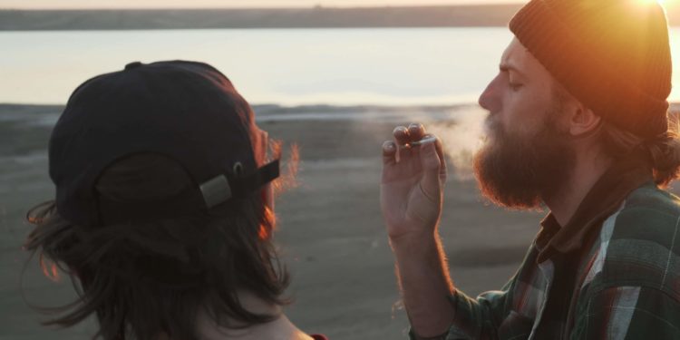 Forty-Two Percent of American Adults Use Cannabis