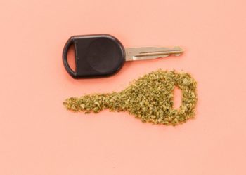 Weed Legalization in Canada Not Linked to Increase in Car Crashes