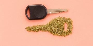Weed Legalization in Canada Not Linked to Increase in Car Crashes