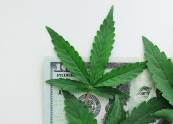 New Report From Marijuana Policy Project Examines Eight Years of Cannabis Tax Revenue