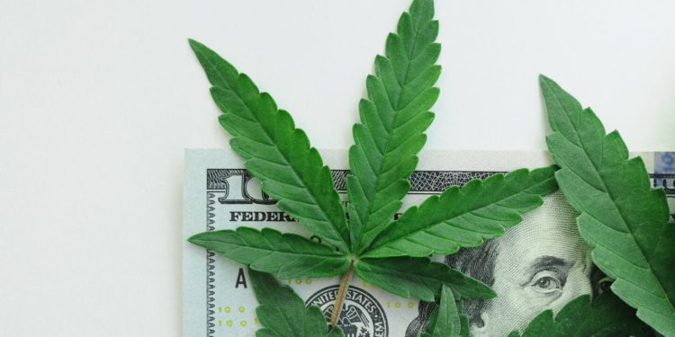 New Report From Marijuana Policy Project Examines Eight Years of Cannabis Tax Revenue
