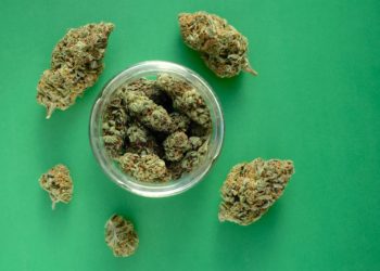 New York Regulators Will Launch Cannabis Farmers Markets ‘Within A Month’