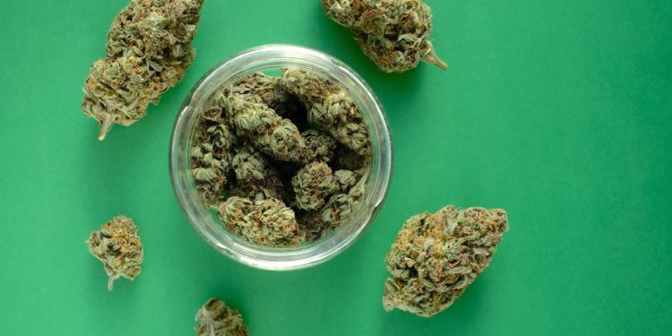 New York Regulators Will Launch Cannabis Farmers Markets ‘Within A Month’