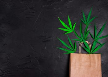 Washington Governor Signs Bill Expanding Social Equity Licenses