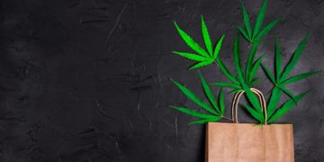 Washington Governor Signs Bill Expanding Social Equity Licenses