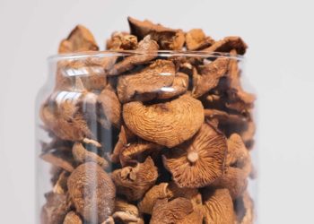 Biotech Company Seeks FDA Approval For Psilocybin-IBS Treatment
