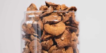 Biotech Company Seeks FDA Approval For Psilocybin-IBS Treatment