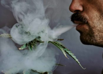 Poll Explores New Jersey Consumer Attitudes, Habits Year Into Market Launch