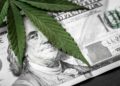 California Agency Awards Over $50 Million in Cannabis Tax Funds to 31 Organizations