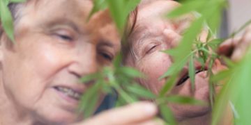Doctors Warn Seniors About Consuming Too Much THC