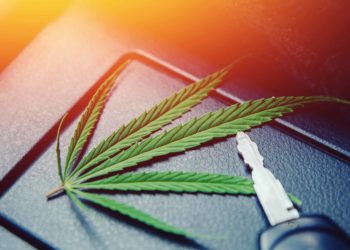 Pennsylvania House Members Introduce Bill To Protect Medical Cannabis Users From DUIs