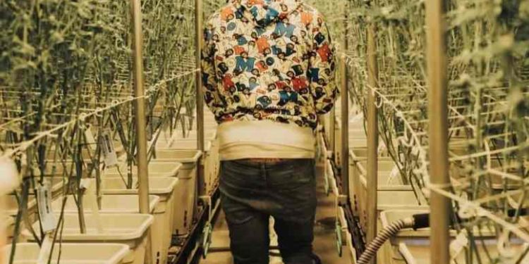 High Rhymes: Shordie Shordie