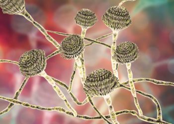 Fungus Found in Batch of Nevada Weed