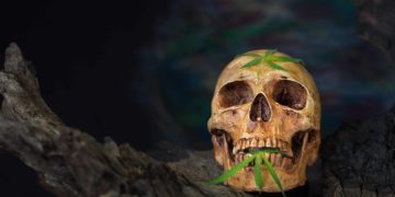 Santa Barbara County, California to Implement ‘Death Penalty’ Tax Rule