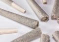 New Report Examines Pre-roll Industry Growth