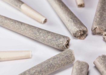 New Report Examines Pre-roll Industry Growth