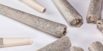 New Report Examines Pre-roll Industry Growth