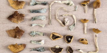 New Poll Shows 61% of Americans Support Legalizing Psychedelic Therapy