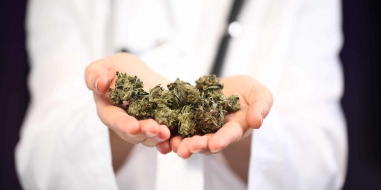 New Hampshire Medical Pot Dispensaries Open Business to Outsiders (Even Canadians!)