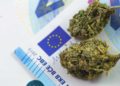 Recent Report Finds Cannabis as Most Used Substance in Europe