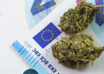 Recent Report Finds Cannabis as Most Used Substance in Europe