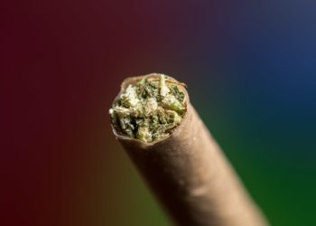 Delta-8 Dispute Gets In Way of Illinois Pot Reform