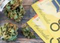 Three States in Australia Push for Adult-Use Cannabis