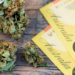 Three States in Australia Push for Adult-Use Cannabis